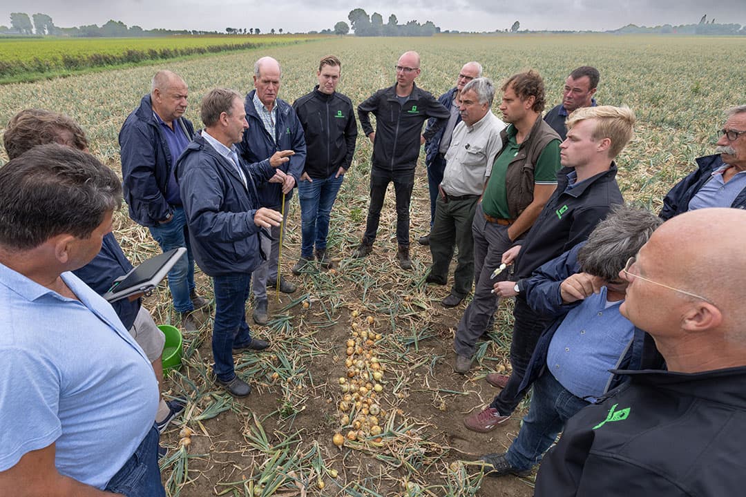 Taxateurs nemen de schade op in een perceel uien in de buurt van Ossenisse (Zeeland) dat is aangemeld voor de brede weersverzekering, in verband met droogteschade. - Foto's: Peter Roek
