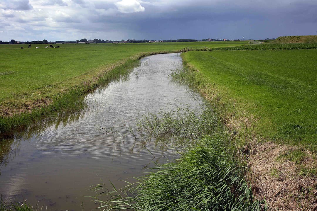 Ook andere provincies pleiten ervoor om in één klap alle problemen aan te pakken: waterkwaliteit, droogte, klimaatverandering en stikstofuitstoot. - Foto: Hans Prinsen