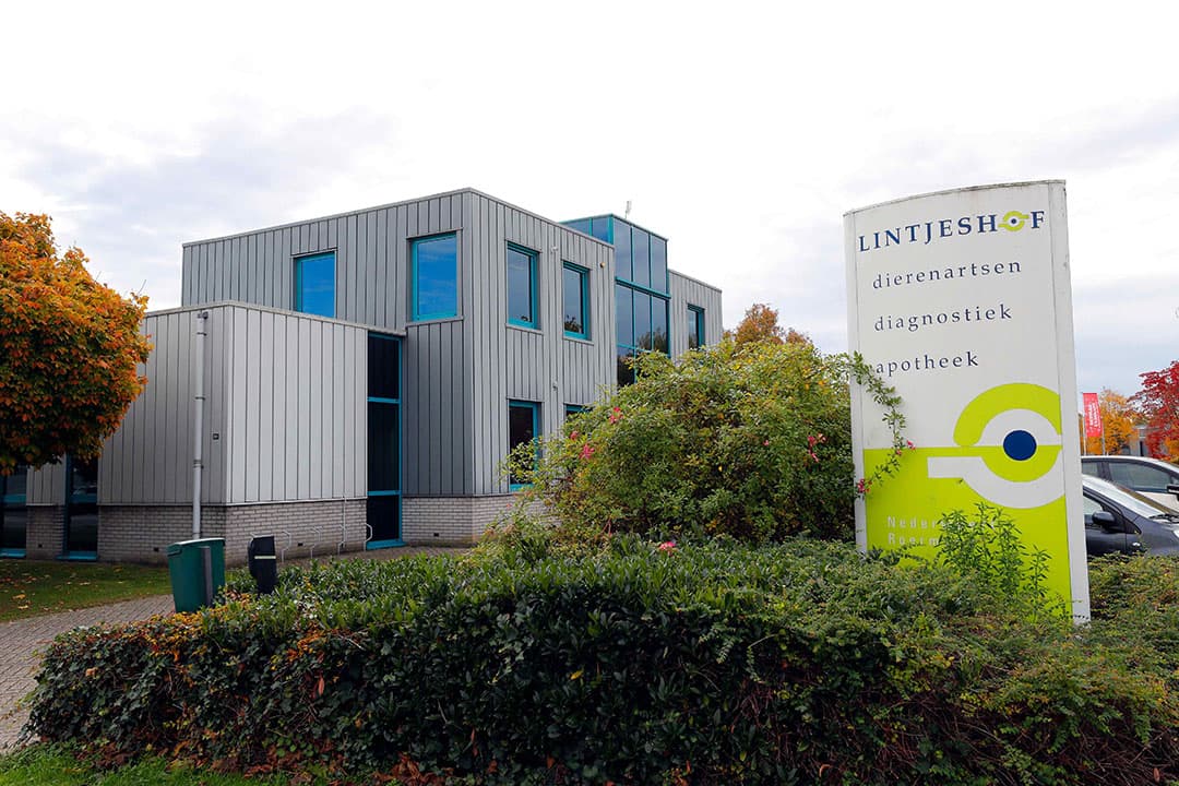 Leden-varkenshouders kunnen vlees of voer afleveren bij Lintjeshof, die dan in het laboratorium een PCR-test uitvoert. - Foto: Bert Jansen
