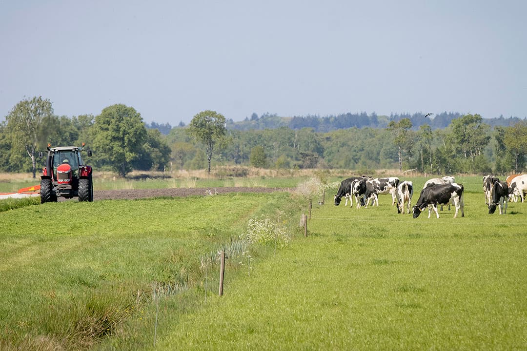 Foto: Boerderij