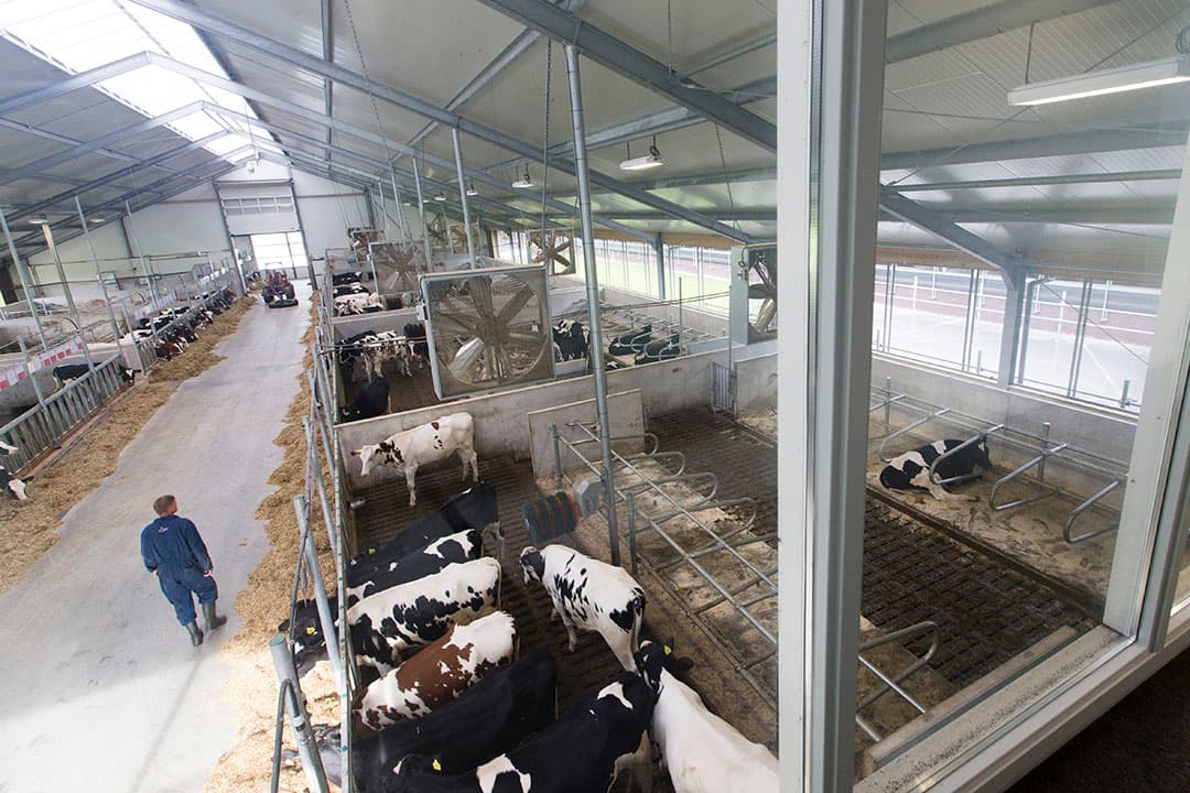 Het Dairy Breeding Center in Wirdum is een van de pijlers van de fokkerij van CRV.
