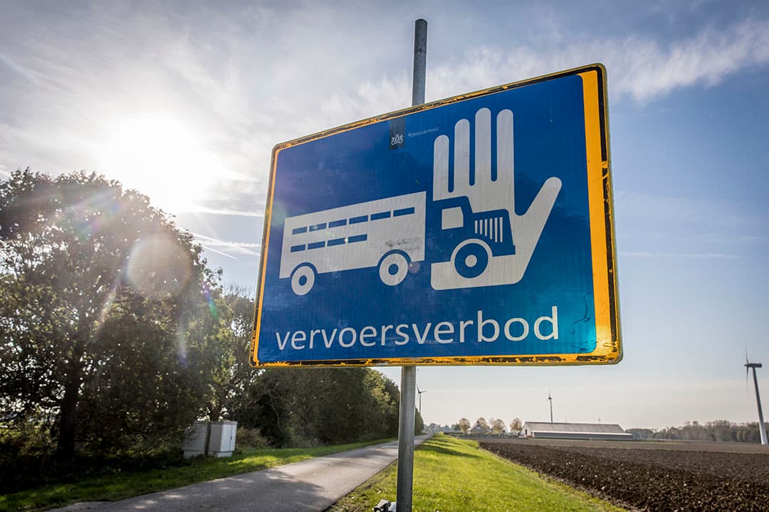 Foto: Koos Groenewold