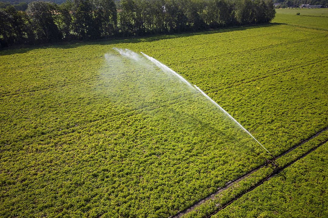 Beregenen van een perceel aardappelen in Noord-Brabant. Net als heel Europa kampt Nederland met uitzonderlijke droogte. - Foto: Bert Jansen