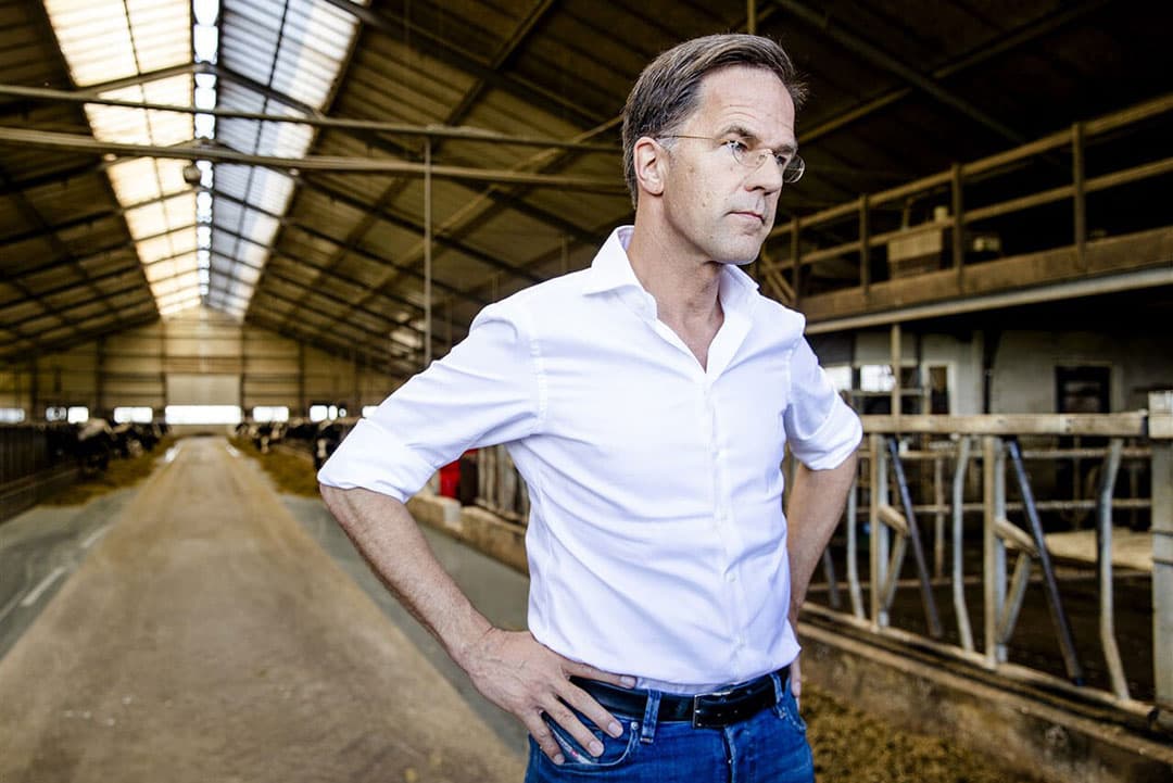 Als Jan Verhoijsen terugkijkt naar twaalf jaar Rutte, dan heeft hij als vader des vaderlands voor polarisatie gezorgd in plaats van de eenheid te bewaren, aldus de columnist. - Foto: ANP
