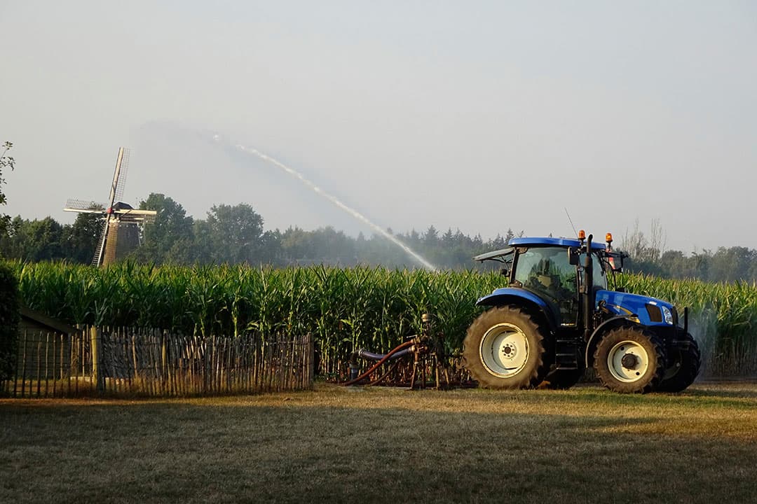 Nu beregenen van mais heeft directe impact op de opbrengst van het gewas. Foto: Hans Prinsen