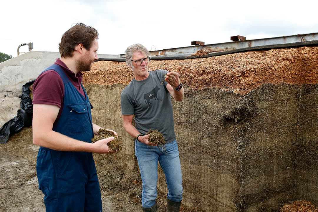 De graskuil is de basis van de eiwitvoorziening van de koeien. In het groeiseizoen moeten keuzes van nu leiden tot een goede kwaliteit graskuil volgend jaar. - Foto: Hans Prinsen