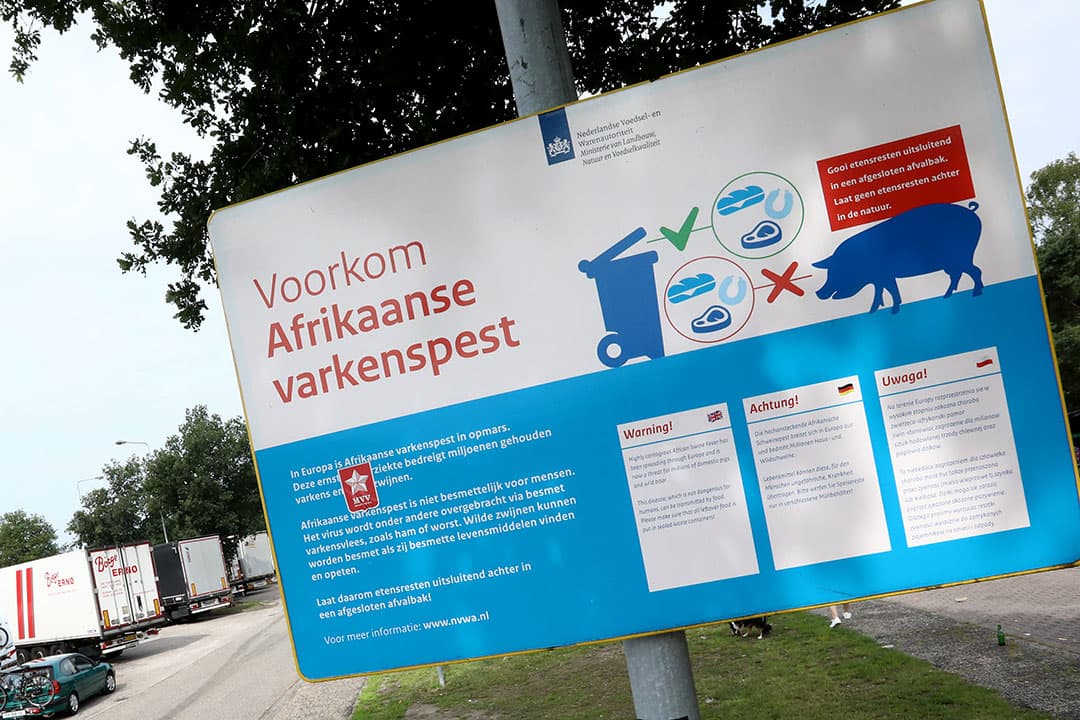 Foto: Henk Riswick