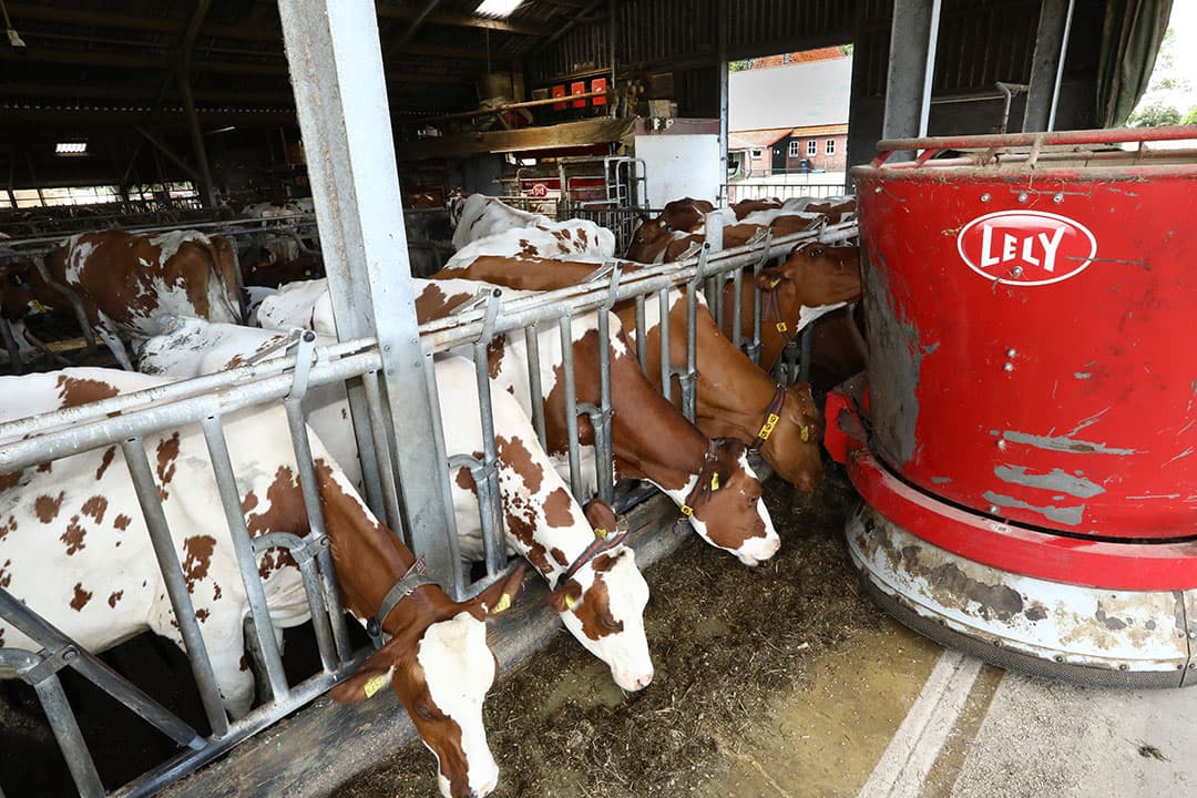 De automatisering op boerderij 't Spieker in Vierakker vraagt veel stroom. Er wordt 60.000 kWh per jaar gebruikt. Driekwart komt uit eigen zonnepanelen. - Foto's: Henk Riswick