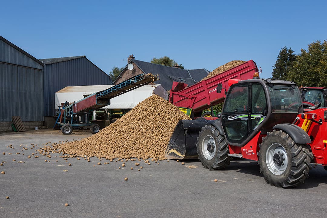 De huidige droogte wordt vaak vergeleken met die in 2018. Foto: Peter Roek