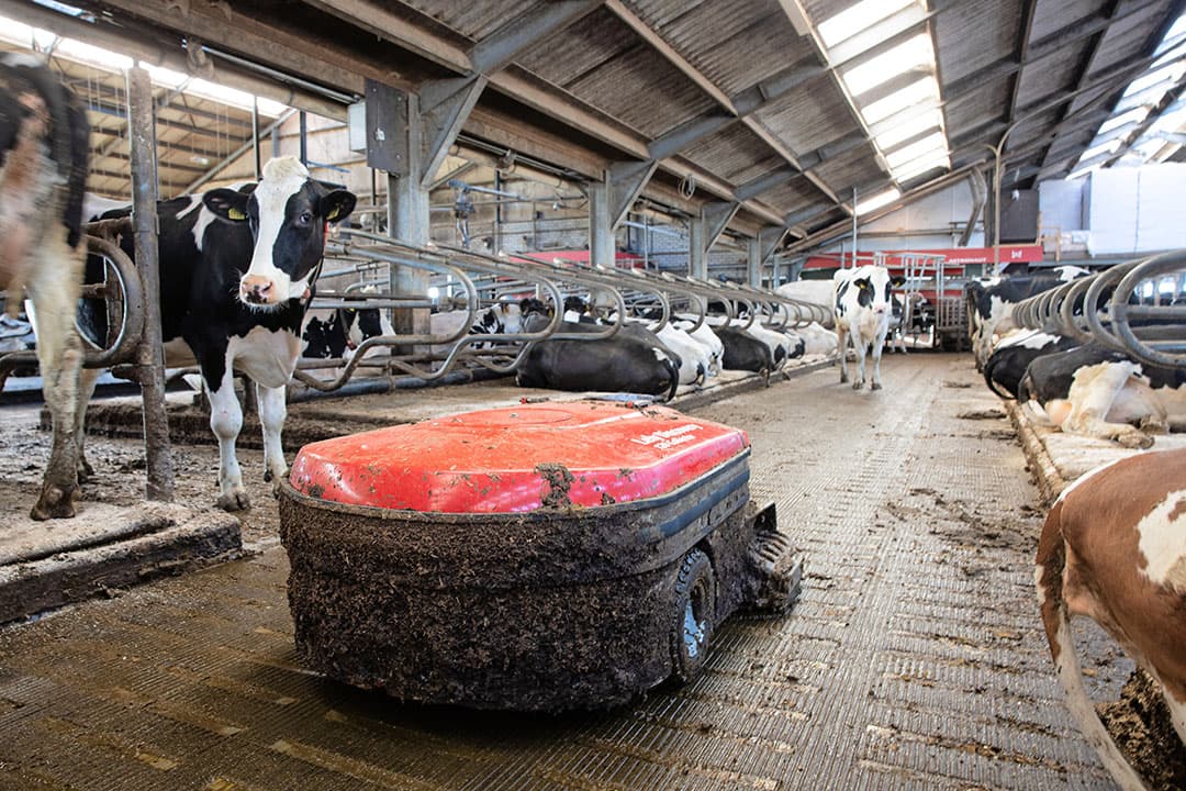 De collector, één van de onderdelen van het emissiearme systeem Lely Sphere van fabrikant Lely, aan het werk in de praktijk. - Foto: Peter Roek
