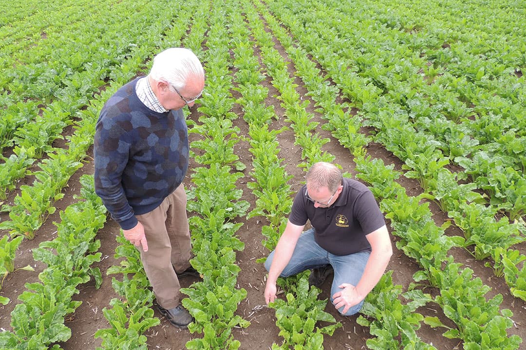 Frits (links) en Leon van de Vendel constateren dat het perceel Smart Imma KWS volledig onkruidvrij is. - Foto: KWS