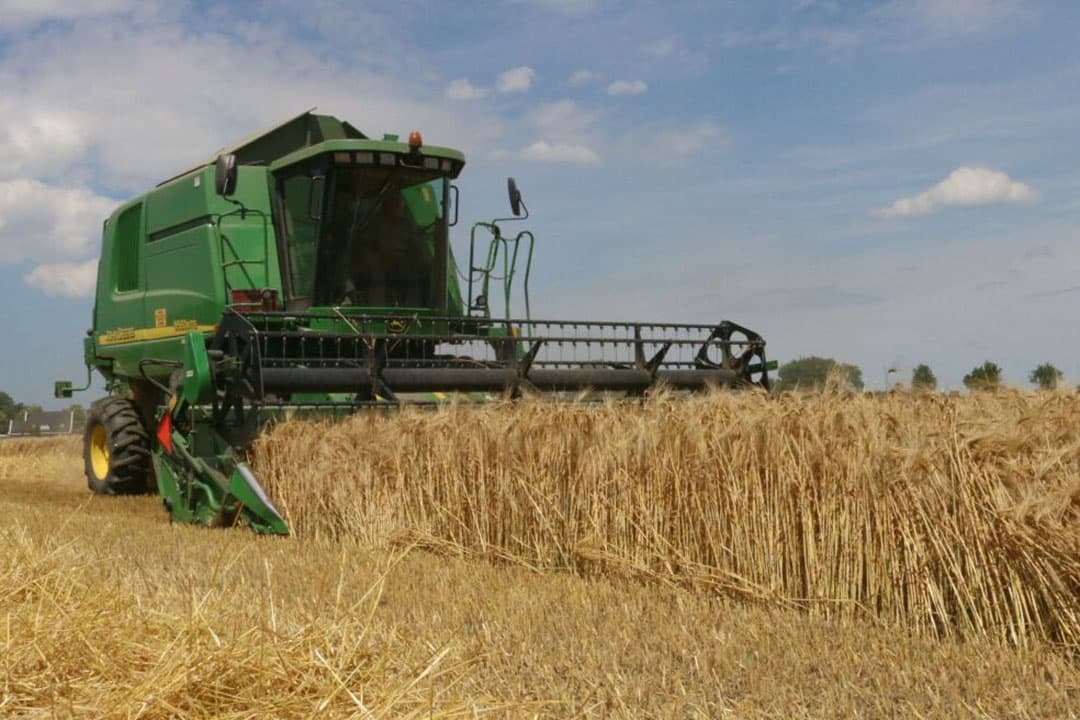 Loonbedrijf Van den Dries uit `s-Heerenhoek (Zld.) werd ingeschakeld om de gerst eraf te rijden. - Foto's: Anton Dingemanse