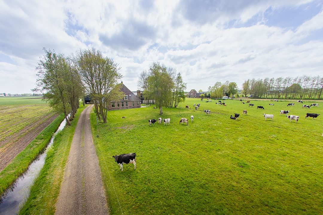Foto: Anneke van Vleeren Fotografie