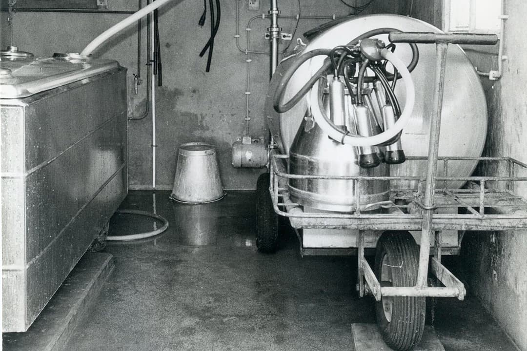 De mobiele melkkoeltank was aan de ene kant enorm praktisch, aan de andere kant verlichtte hij het werk niet erg. Schoonmaken bleef tijdrovend. Het kon deels met desinfecterende spoelmiddelen. Daarnaast moesten onderdelen, kranen, stoppen en rubber afsluitingen handmatig met een borstel worden geschrobd. - Foto: Misset