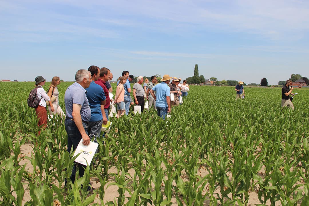 De onderzoekers geven een rondleiding op het proefveld. Dit jaar wordt mais geteeld, in 2021 vroege aardappelen. - Foto's: Kees van Dooren