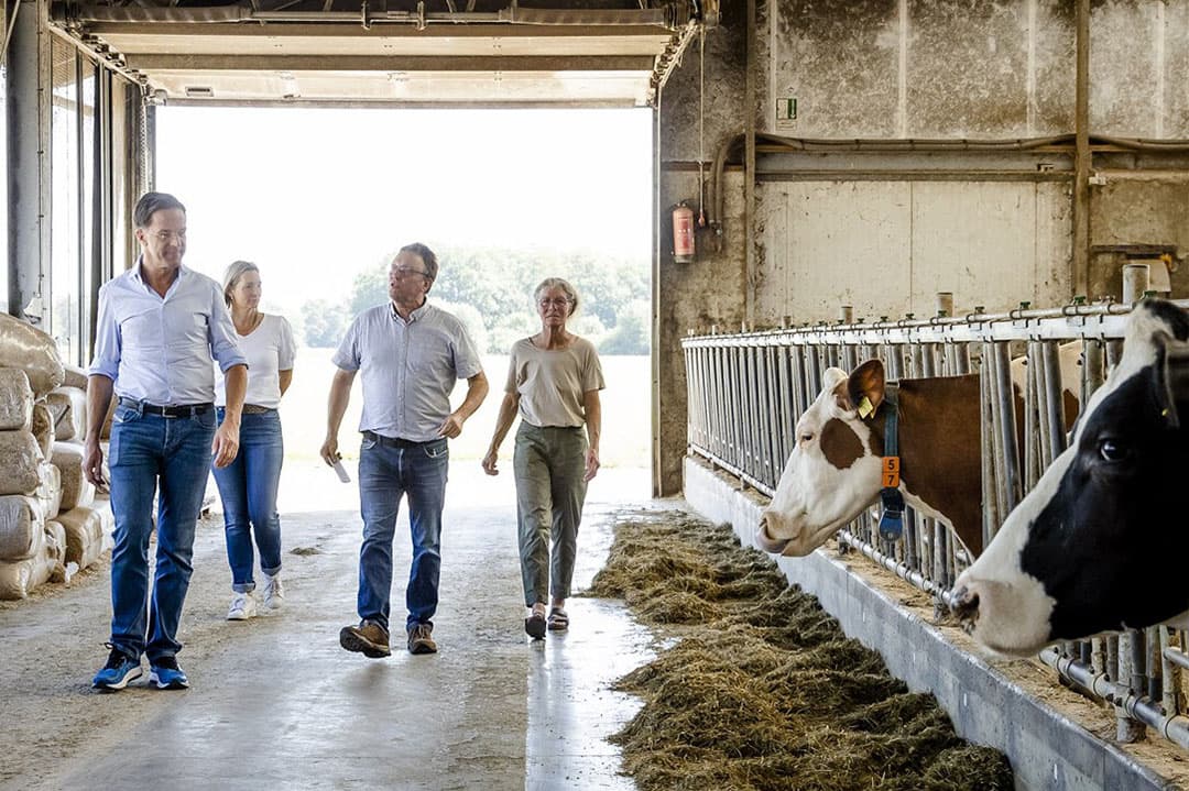 Melkveehouder Thieu Bongers in het Limburgse Kelpen-Oler ontving met z’n vrouw Karin premier Mark Rutte. - Foto: ANP