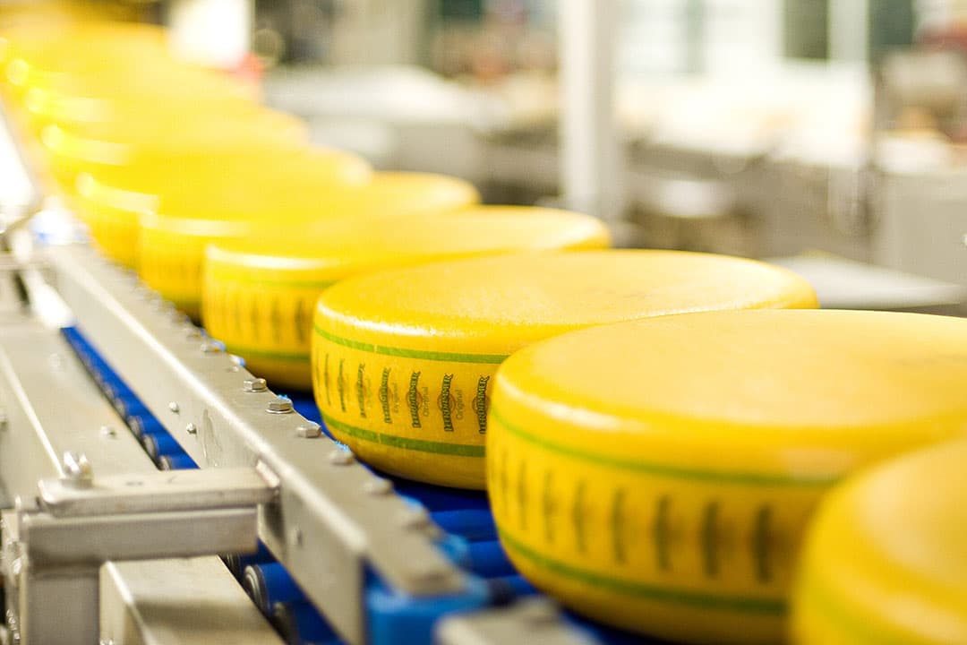 De door Boerderij berekende Leerdammer-basisprijs komt voor juli uit op € 58,89 per 100 kilo melk. - Foto: Leerdammer