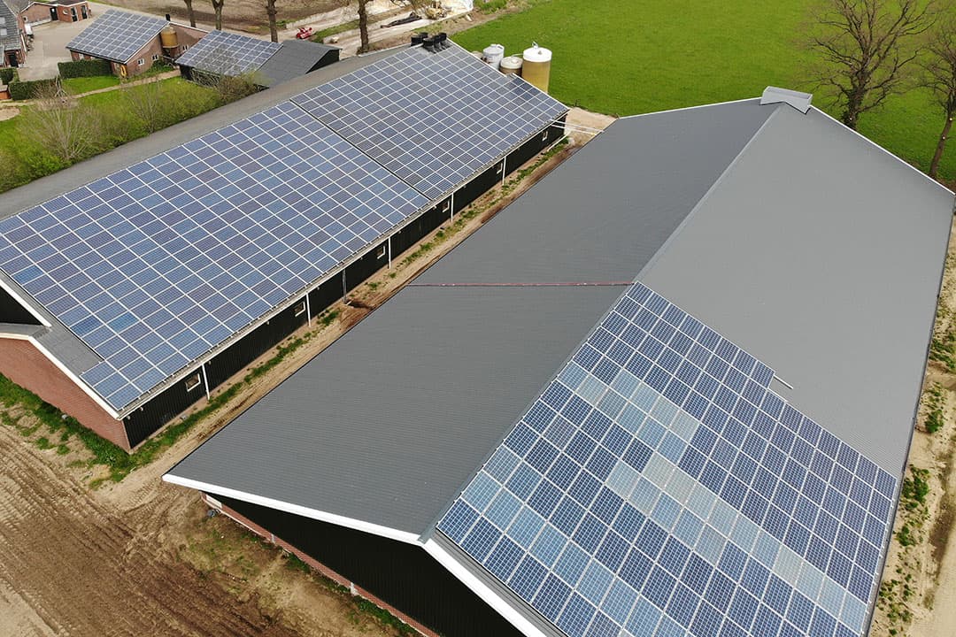Zonnepanelen op een vleesvarkensstal. - Foto: Hans Prinsen