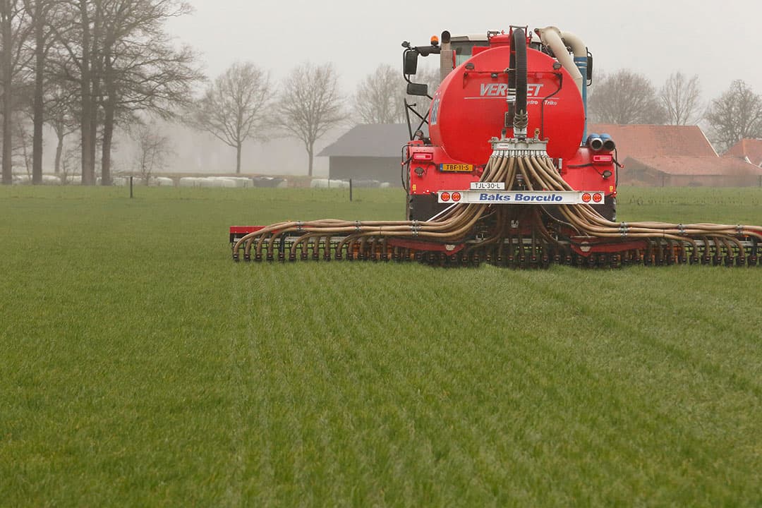 Foto: Hans Prinsen