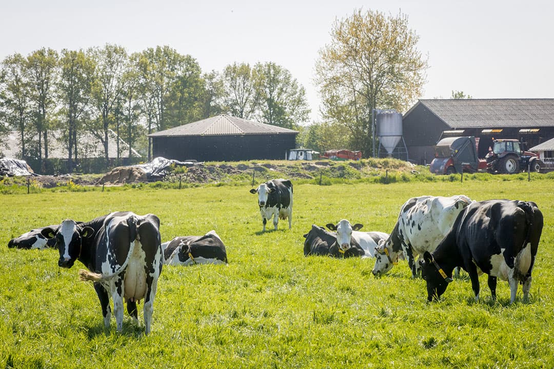 Foto: Koos Groenewold