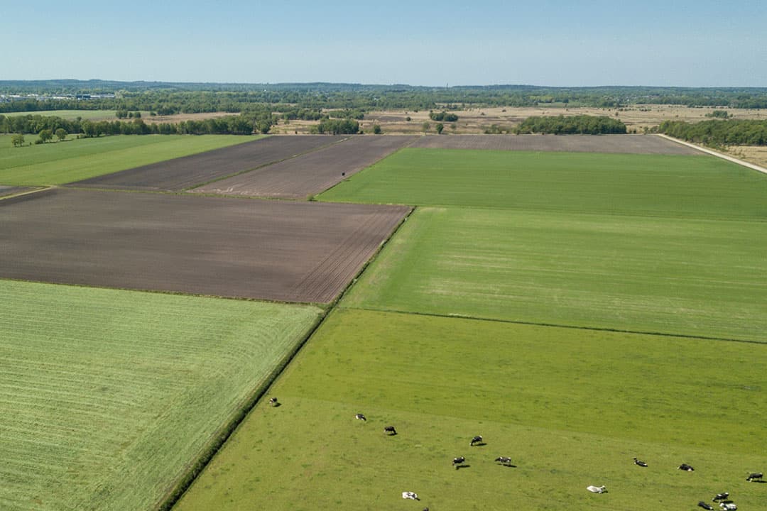 Foto: Koos Groenwold