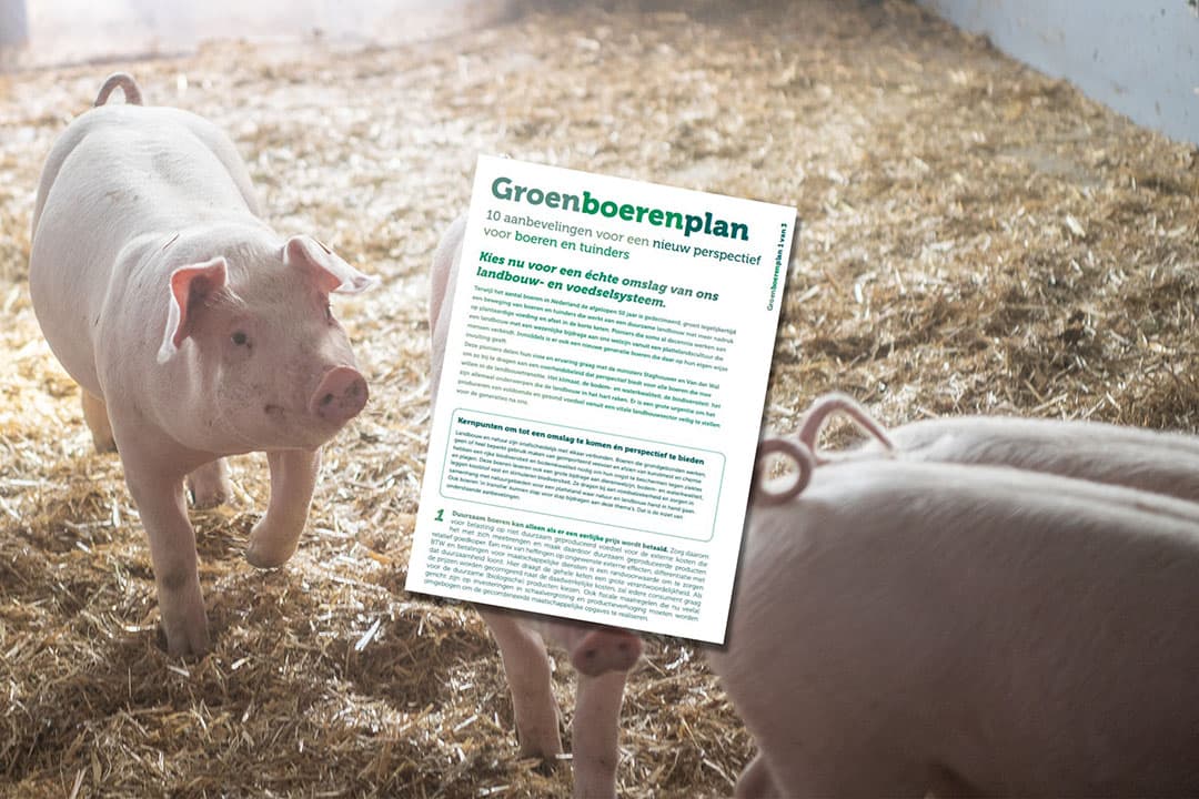 Foto: Michel Velderman en Groenboerenplan, bewerking Misset