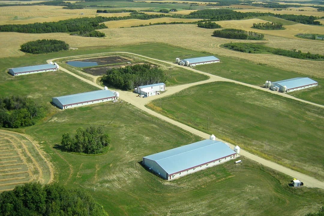 De vleesvarkenslocatie van de familie Préjet bij Porcherie Notre Dame. - Foto: Préjet Farms