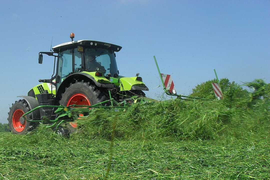 Begin mei werd op veel plaatsen een start gemaakt met de oogst van de eerste snede. Toen al was duidelijk dat het gewas veel suiker bevatte. - Foto: Boerderij