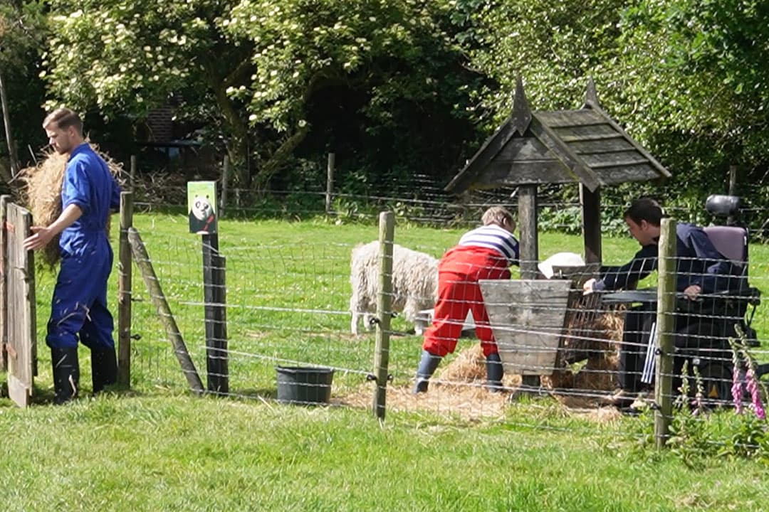 Foto: Hessel Broekhuis