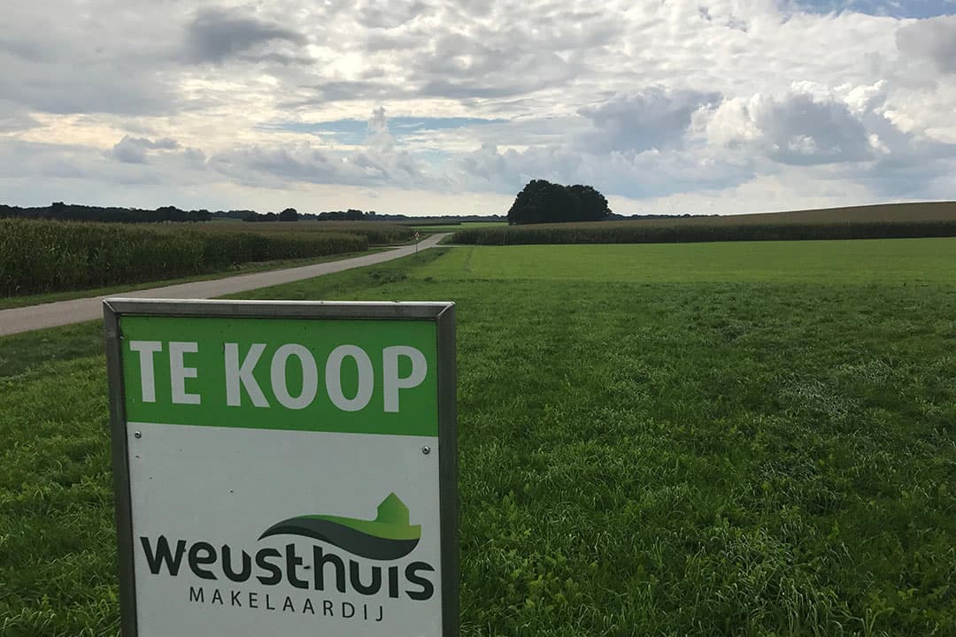 Foto: Martijn ter Horst