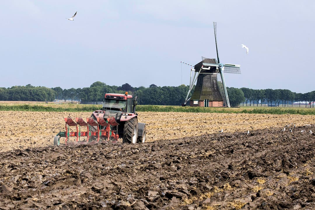 Foto: Koos van der Spek