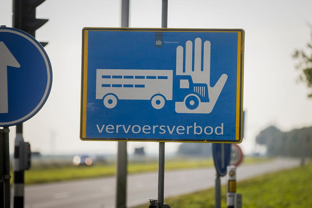 Foto: Koos Groenewold