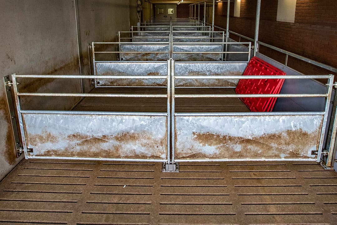 Lege varkensstal. DLV Advies ziet meer animo voor de opkoopregeling dan waar budget voor is. - Foto: Ronald Hissink