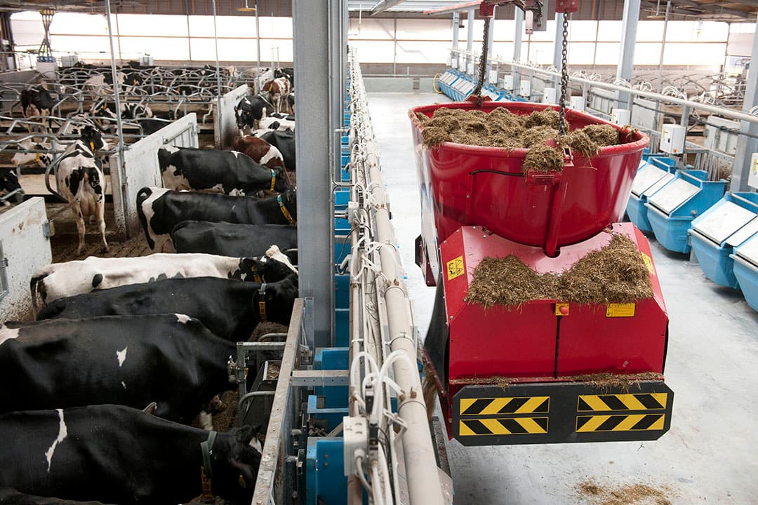 Met de RIC bakken op Dairy Campus kan de individuele voeropname per koe worden vastgesteld. - Foto: Mark Pasveer