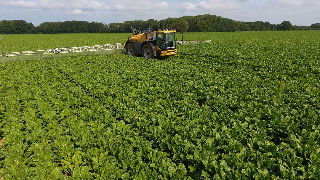De Green Deal vraagt om een vermindering in het gebruik van chemische gewasbescherming. - Foto: Henk Riswick