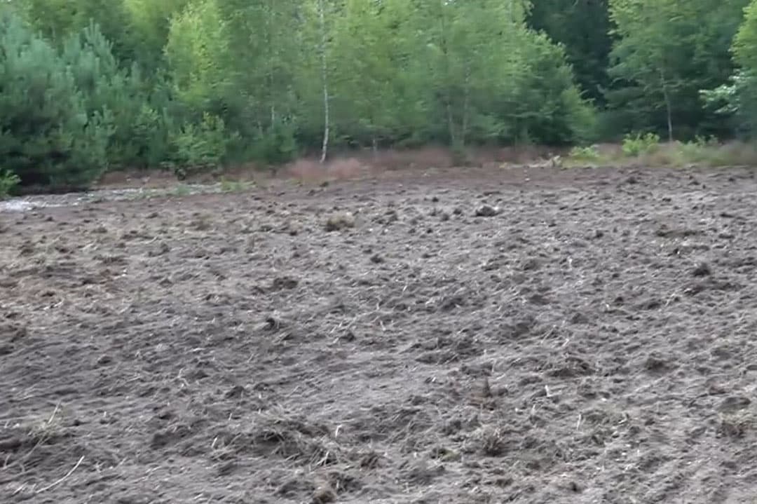 Het stuk grond dat volgens Staatsbosbeheer vernield is. - Foto: Still uit video Omroep Gelderland