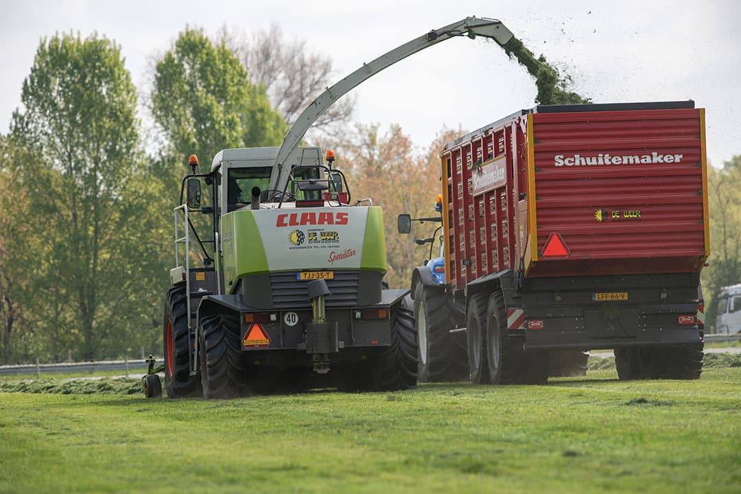 Over een periode van drie jaar blijkt de eerste snede meer stikstof af te geven dan de hoeveelheid waarmee het is bemest. - Foto: Michel Velderman