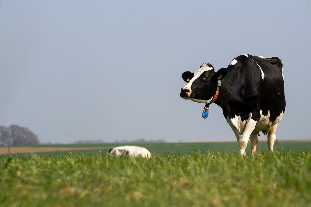 Foto: Twan Wiermans