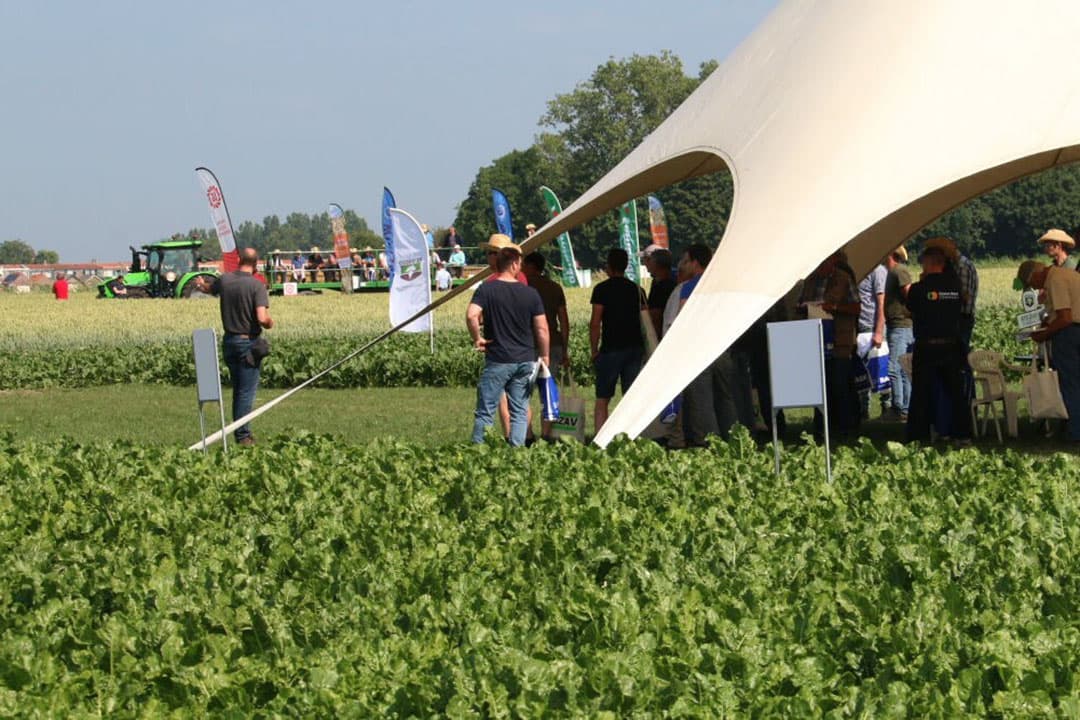 Op het bietenplein wordt een groep bijgepraat over  innovaties bij bietenrassen. Er waren 8 rondleidingen langs de verschillende proeven en demo`s. - Foto's: Anton Dingemanse
