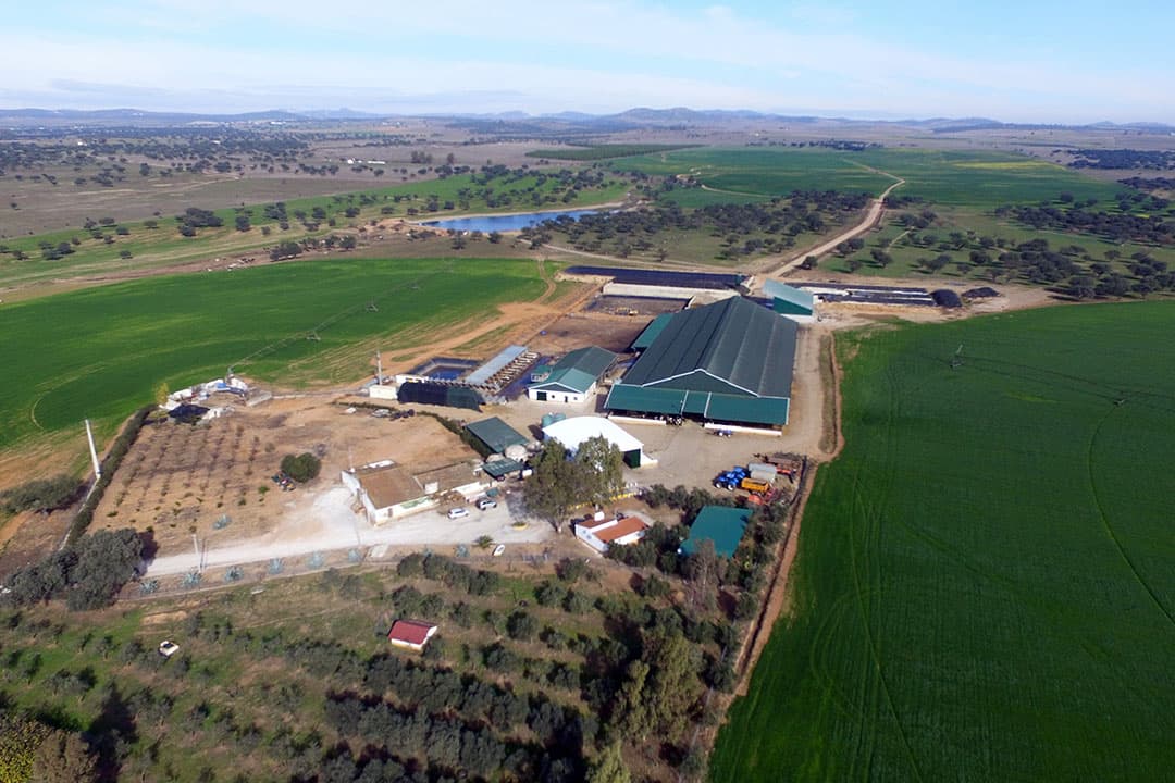 Dit melkveebedrijf staat te koop en ligt in de Portugese provincie Alentejo. - Foto's: Interfarms bv Portugal