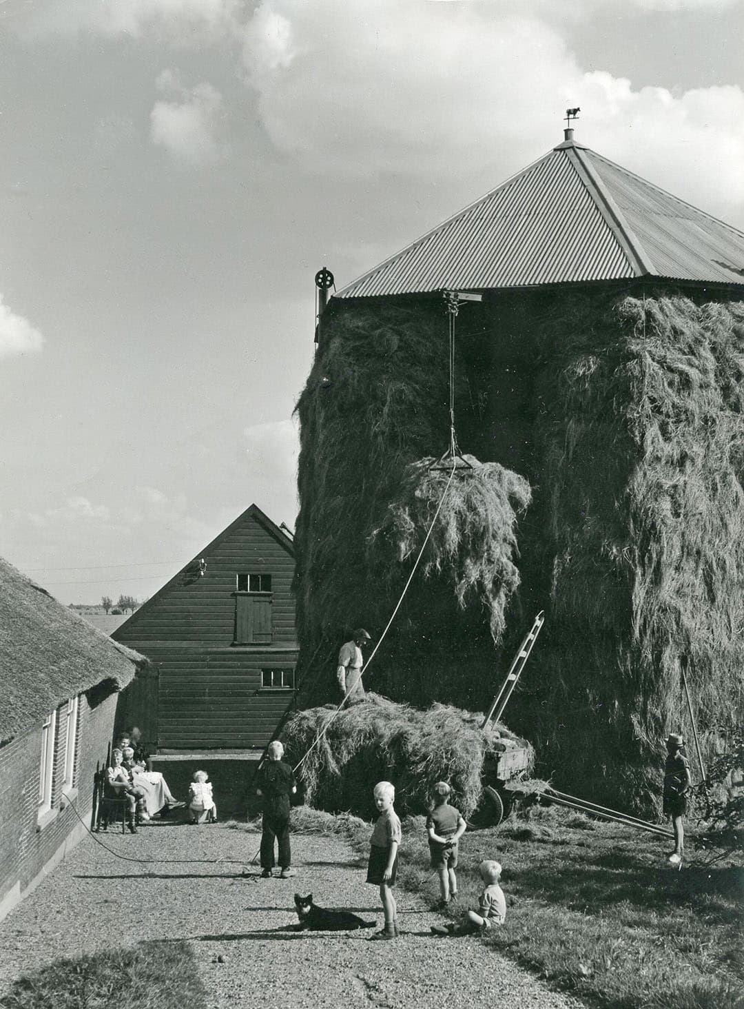 Hooi lossen met een grijper scheelde enorm veel werk mits het goed gebeurde. Het hooi was op het land op een bepaalde manier op de kar gestapeld. Het moest zorgvuldig laag voor laag van elkaar gepakt worden om te voorkomen dat de hele vracht op de grond belandde. - Foto: Misset