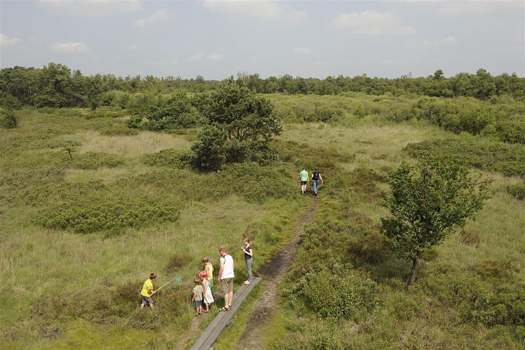 Het Korenburgerveen is een natuurgebied van bijna 500 hectare ten noordwesten van Winterswijk (Gld.). Het Natura 2000-gebied is grotendeels in eigendom van Natuurmonumenten. - Foto: ANP/Buiten-Beeld