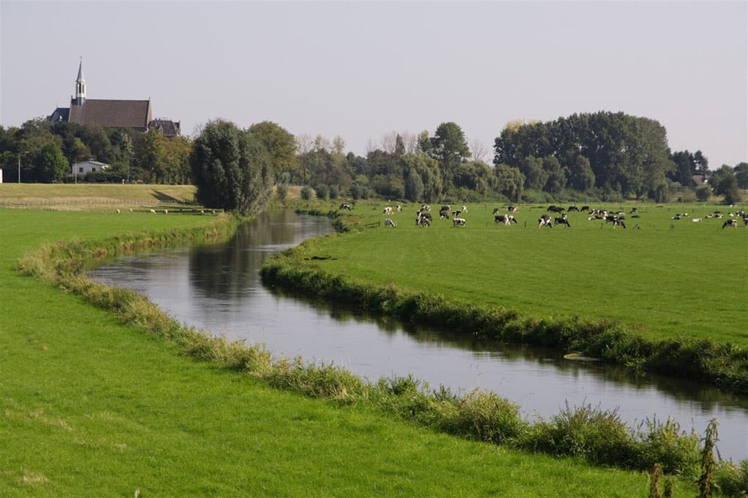 De Limburgse rivier Niers komt zwaar vervuild met stikstof Nederland binnen. Het is onjuist dat men de Nederlandse landbouw in staat acht om de waterkwaliteit in de Niers ‘goed’ te krijgen, stelt Peter van Dijck - Foto: ANP