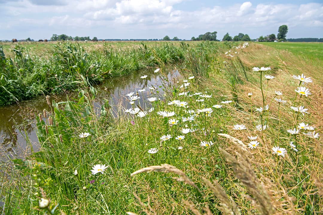 Foto: Cor Salverius Fotografie