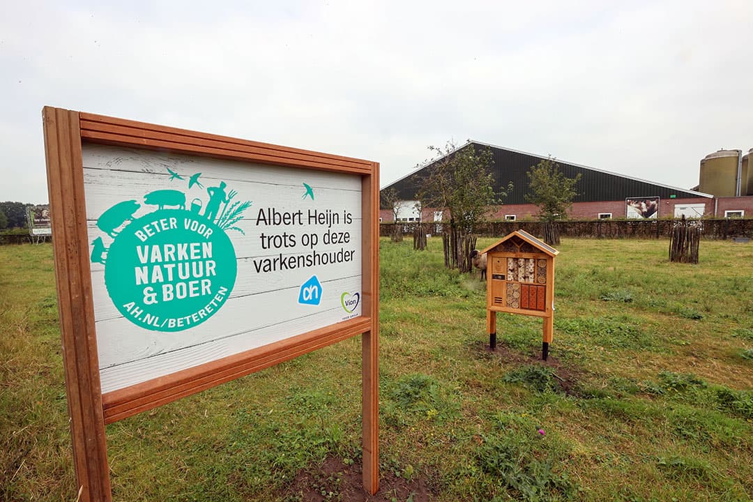 Supermarkt Albert Heijn vindt een langdurige samenwerking met de varkenshouders van belang en is in 2021 het Beter voor Varken, Natuur & Boer-programma gestart. - Foto: Bert Jansen