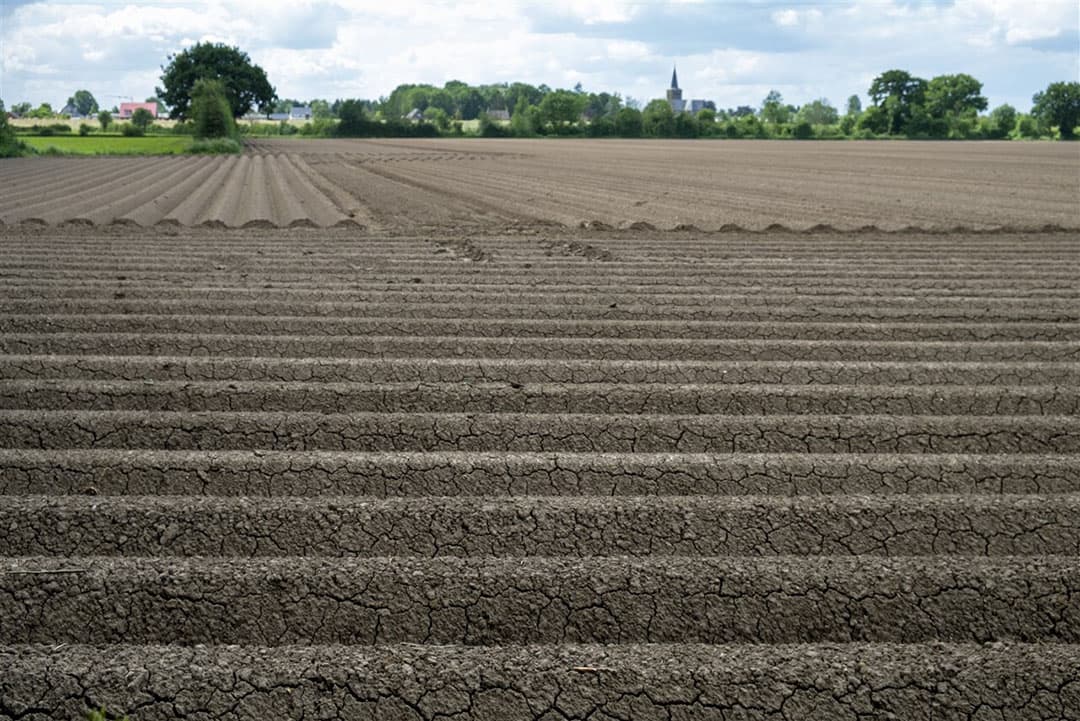 De grootste daling is er in het Zuidwestelijk akkerbouwgebied (-23%). - Foto: ANP