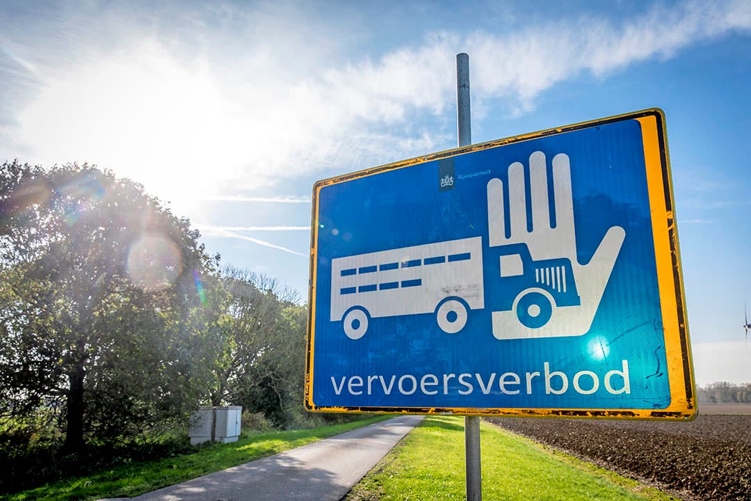 Foto: Koos Groenewold