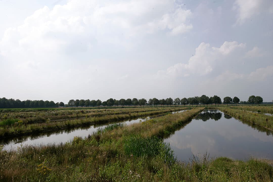 Foto: Michel Zoeter