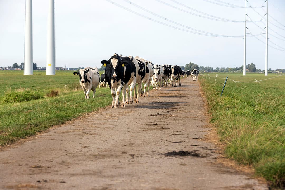 Foto: Roel Dijkstra