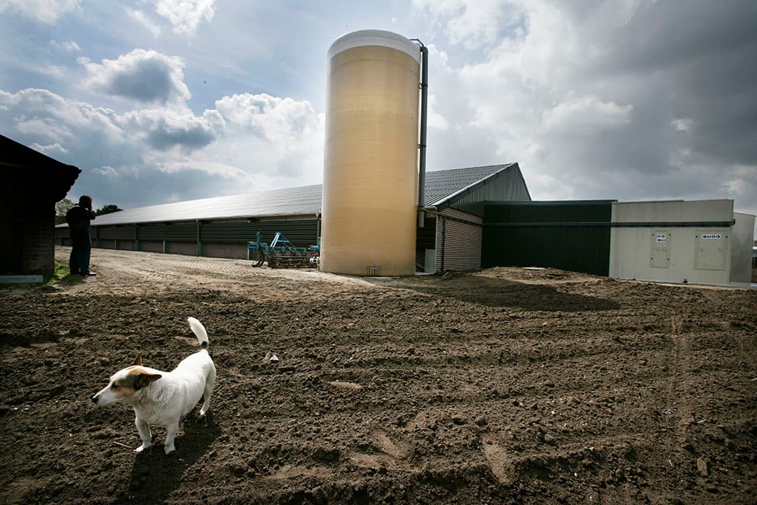 Pluimveestal met luchtwasser en spuiwatersilo. - Foto: Koos Groenewold